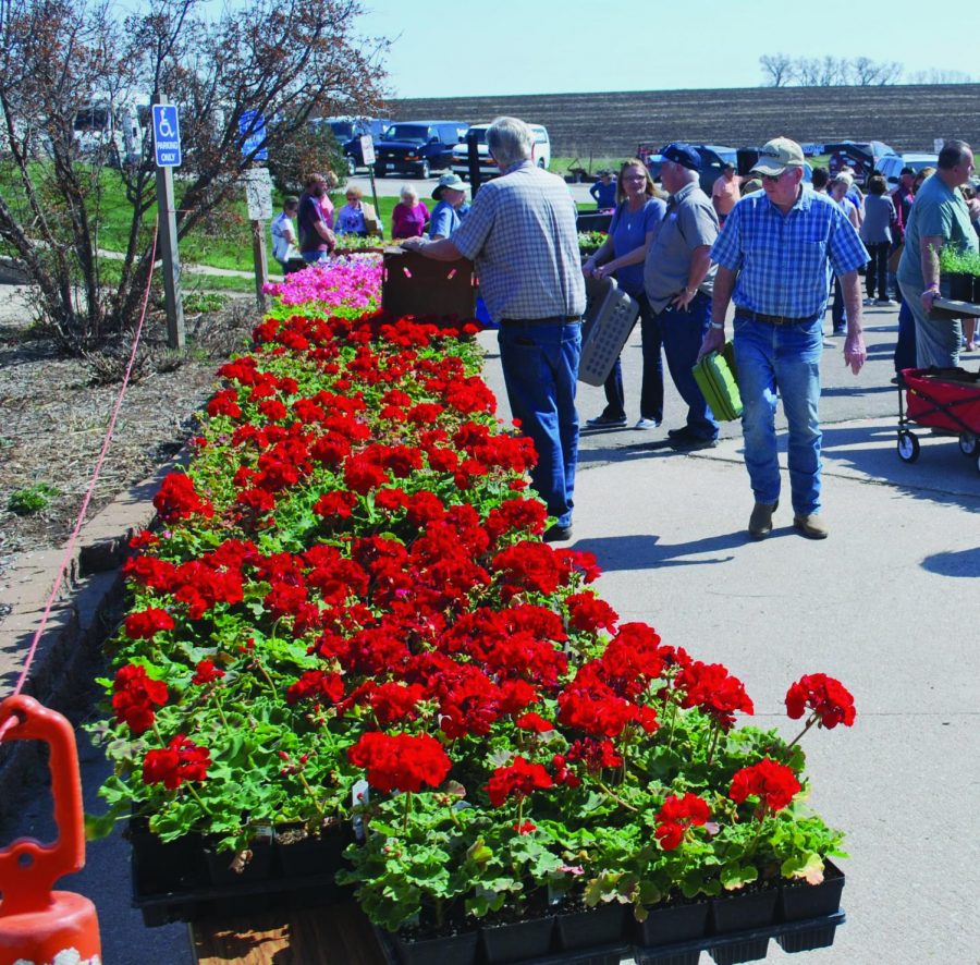 The annual spring flower sale hosted by horticulture students offered more than 10,000 plants and herbs.