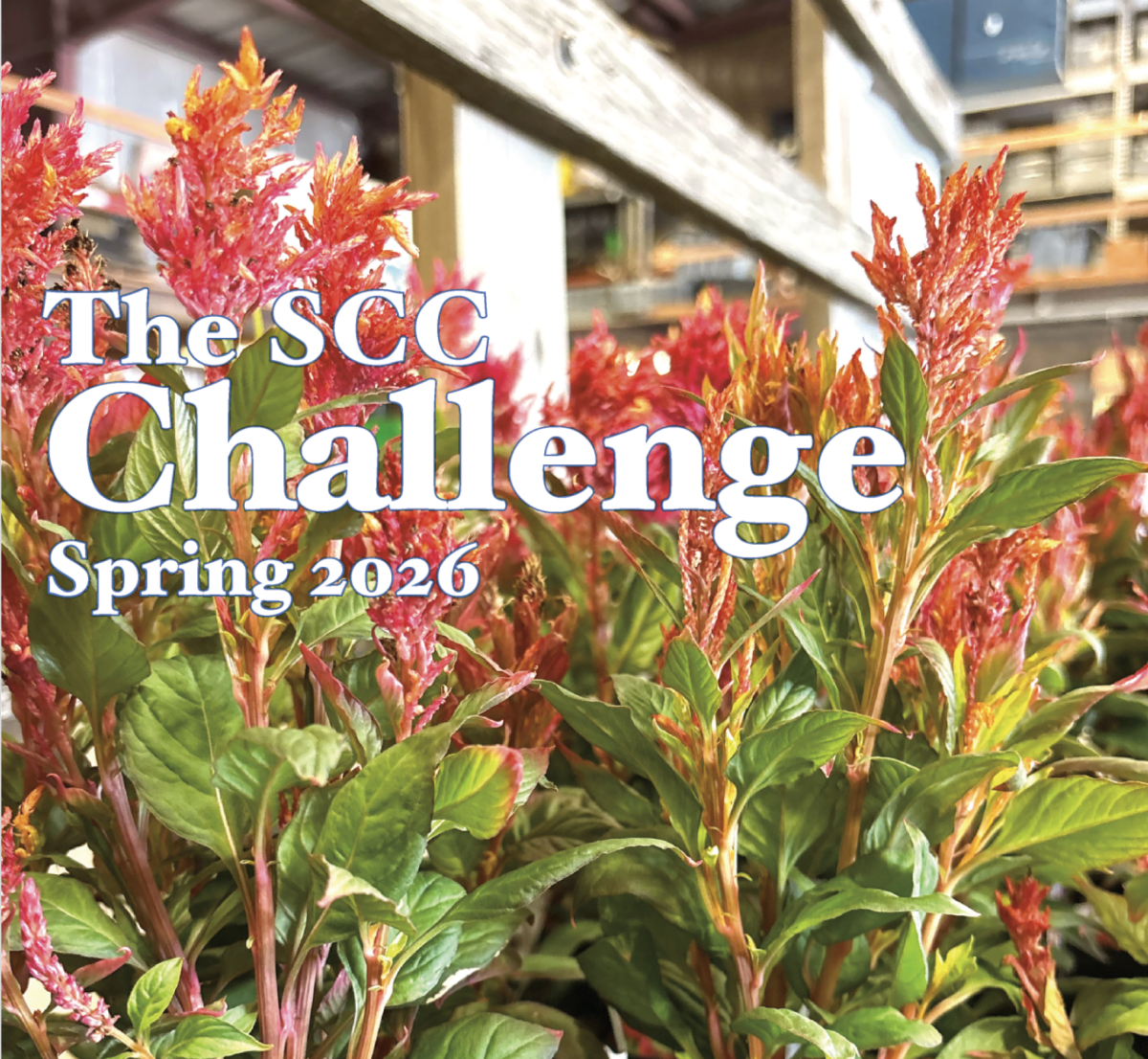 Spring 2026 SCC Challenge now available